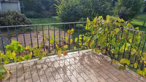 Foto - Etagenwohnung in Ingolstadt