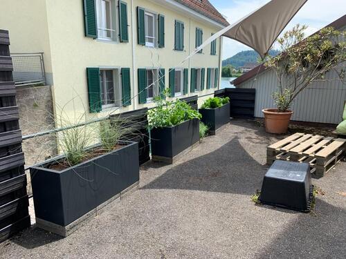 Foto - 2 Zimmer Etagenwohnung in Waldshut-Tiengen