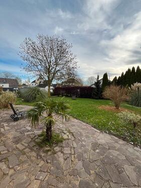 Foto - Einfamilienhaus in Glückstadt zum Kaufen