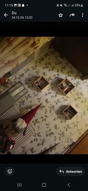 Foto - 8 Zimmer Einfamilienhaus in Mühlhausen (Thüringen)