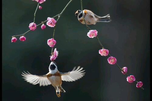 Foto - Charmanter Laden in Toplage Schanze zu vermieten