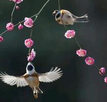 Charmanter Laden in Toplage Schanze zu vermieten - Hamburg Altona-Nord