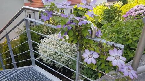 Foto - Etagenwohnung zur Miete in Flensburg