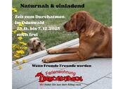 Foto - Urlaub mit Hund. Ferienwohnung OdenwaldBergstraße