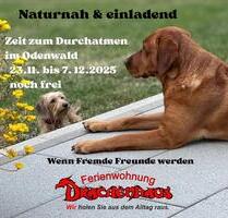 Urlaub mit Hund. Ferienwohnung OdenwaldBergstraße - Rimbach