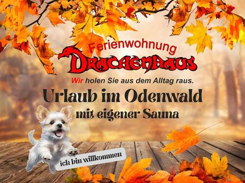 Foto - andere in Rimbach