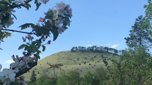 Foto - 4.5 Zimmer Terrassenwohnung in Bopfingen