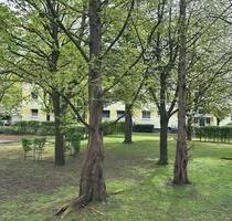 Geräumige WG Wohnung‼️ - 750,00&nbsp;EUR Kaltmiete, ca.&nbsp; 83,00&nbsp;m&sup2; in Münster (PLZ: 48151) Mitte-Süd