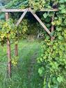 Foto - Kleingarten zu verpachten - 50,00 EUR Kaltmiete, ca.  0,00 m²