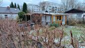 Foto - Garten und Laube in Spandau - 18.000,00&nbsp;EUR Kaufpreis, ca.&nbsp; 50,00&nbsp;m&sup2;