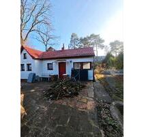 TIny Haus, Haus zu vermieten - 750,00&nbsp;EUR Kaltmiete, ca.&nbsp; 35,00&nbsp;m&sup2; in Berlin (PLZ: 13505) Reinickendorf