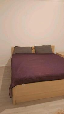 Foto - Wohnung zu vermieten - 600,00 EUR Kaltmiete,
