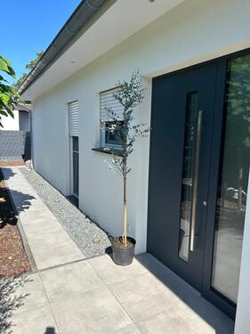 Foto - Einfamilienhaus in Gifhorn
