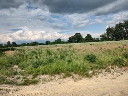 Foto - Einfamilienhaus zum Kaufen in Bruchhausen-Vilsen