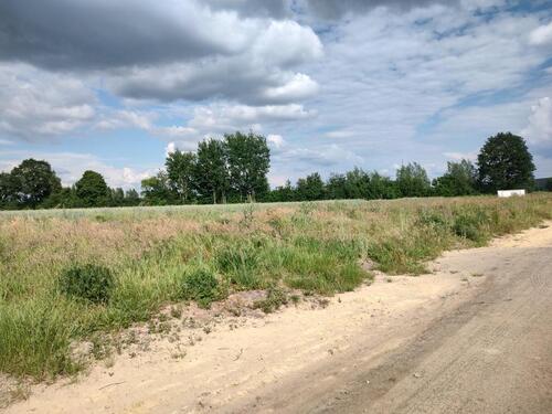 Foto - Einfamilienhaus in Bruchhausen-Vilsen