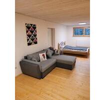 Kellerwohnung ab Mai 2026 - 550,00&nbsp;EUR Kaltmiete, ca.&nbsp; 40,00&nbsp;m&sup2; in Schramberg (PLZ: 78713)