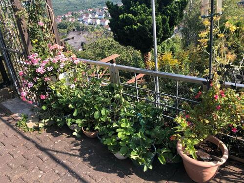 Foto - 5.5 Zimmer Maisonettenwohnung zur Miete in Quierschied