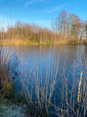 Foto - See Gründstück zwischen Nordhorn und Emsbüren