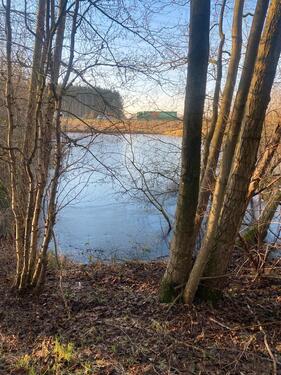 Foto - Grundstück zur Miete in Nordhorn
