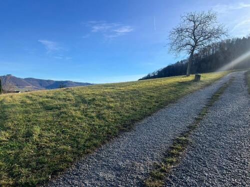 Foto - Verpachte Streuobstwiese in Kohlberg
