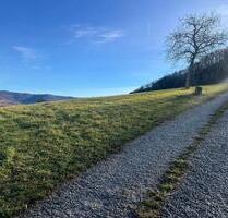 Verpachte Streuobstwiese in Kohlberg