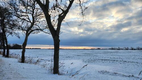 Foto - Ferienhaus in Ostfriesland Nordseeküste