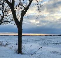 Ferienhaus in Ostfriesland Nordseeküste - Esens