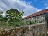 Foto - Einfamilienhaus zur Miete in Steinheim
