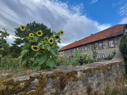 Foto - Einfamilienhaus zur Miete in Steinheim