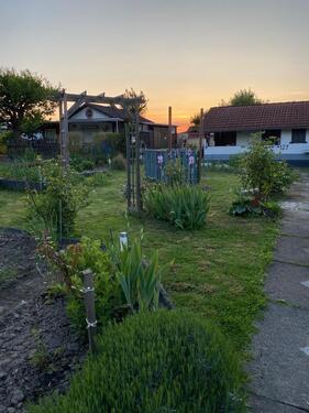 Foto - Kleingarten im KGV Hegelsberg (34127) abzugeben