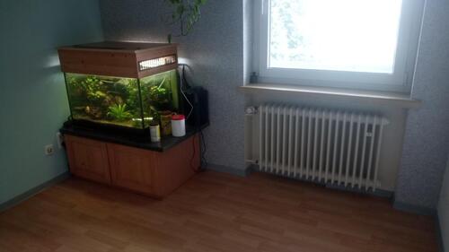 Foto - 2 Zimmer-Wohnung, 36 Quadratmeter