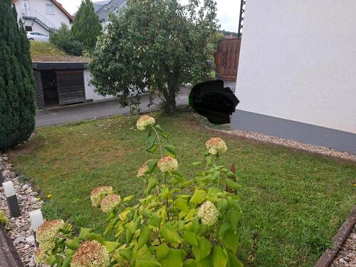 Foto - Etagenwohnung zur Miete in Eichenzell