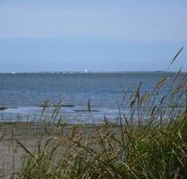 Nordsee Esens Ferienwohnung Hund Aktion Ostf. 28.3.-2.4 u7.4-12.4