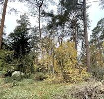 1.301 M² GRUNDSTÜCK IN BESTER LAGE VON GIFHORN – IDEAL FÜR IHR WOHNPROJEKT