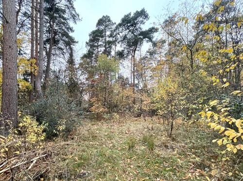 Foto - Grundst&uuml;ck zum Kaufen in Gifhorn