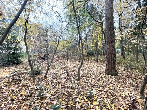 Foto - Grundst&uuml;ck in Gifhorn zum Kaufen
