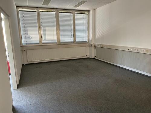 Foto - andere in Neuried