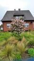 Foto - 6 Zimmer Einfamilienhaus in Ochtrup