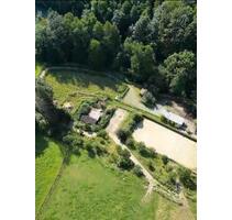 Pferdehof mit Paddocktrail, Offenstall, Boxen,weitere Gebäude - Lindlar