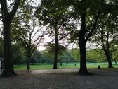 Foto - Etagenwohnung in Köln