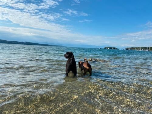 Foto - 2 Zimmer andere in Würzburg