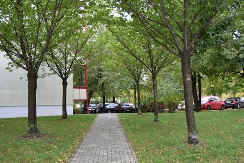 Foto - 2 Zimmer Etagenwohnung in Merseburg