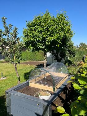 Foto - Grundst&uuml;ck in Leipzig zur Miete