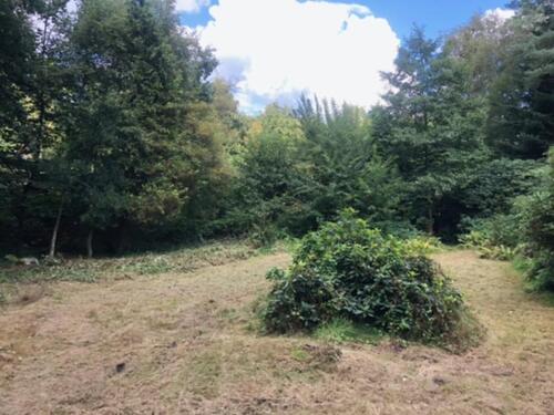 Foto - Grundstück zur Miete in Schiffdorf