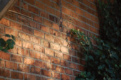 Foto - Etagenwohnung zur Miete in Teterow