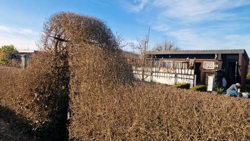 Foto - Grundst&uuml;ck zur Miete in Rostock