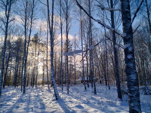 Foto - Einfamilienhaus in Tönning