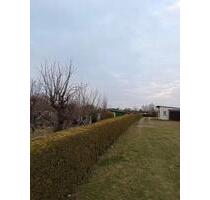 Kleingarten in idyllischer Lage - Rostock Alt Bartelsdorf