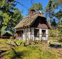 Idyllisches Wochenendhaus auf großzügigem Waldgrundstück - Regesbostel