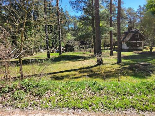Foto - 